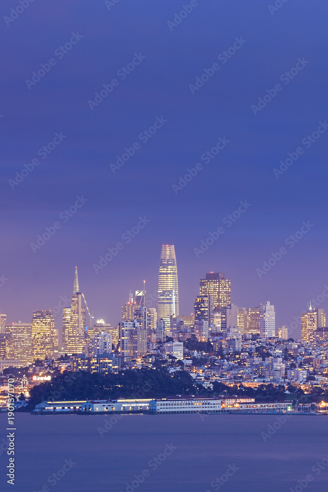 Vertical night view of San Francisco across the bay