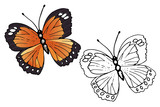 Butterfly coloring set - vector illustration