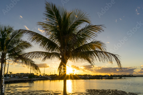 USA, Florida, Fantastic sunset behind palm tree reflecting in ocean at village on floriday keys