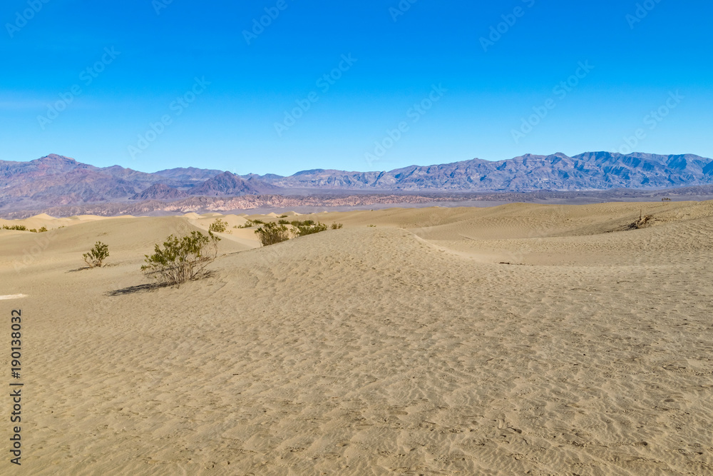 Desert in Arizona, US