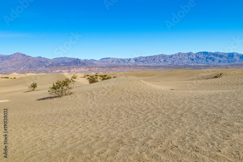 Desert in Arizona  US