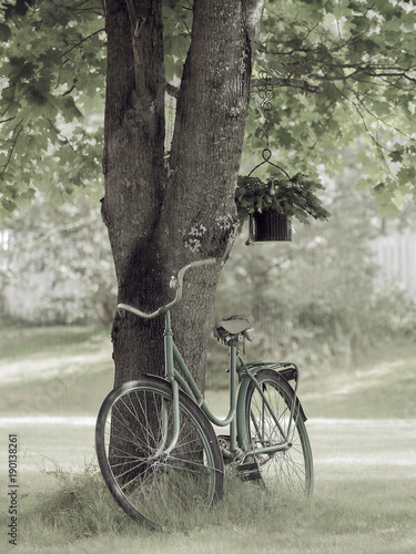 Old vintage bike under maple tree © JiiPee Photography