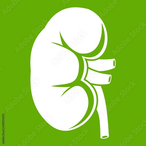 Kidney icon green