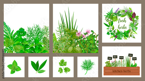 Wooden crate of farm fresh cooking herbs in wooden box. Set of cards. Gardening. Hydroponik