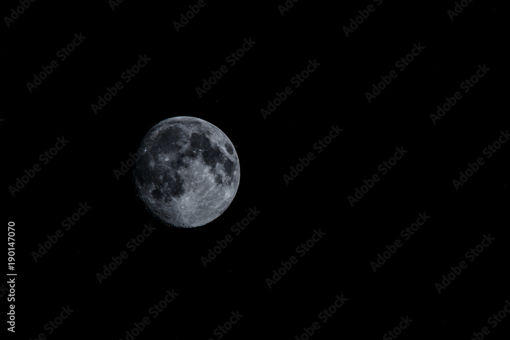 Fototapeta premium Moon
