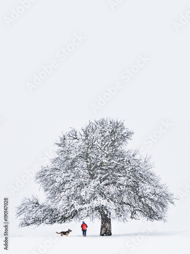 young man and dog under white winter tree