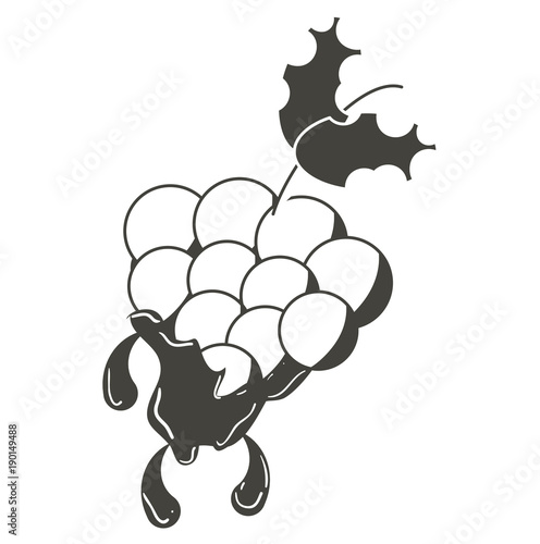 bunch of grapes icon 