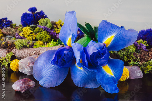 Iris Flowers with Amethyst