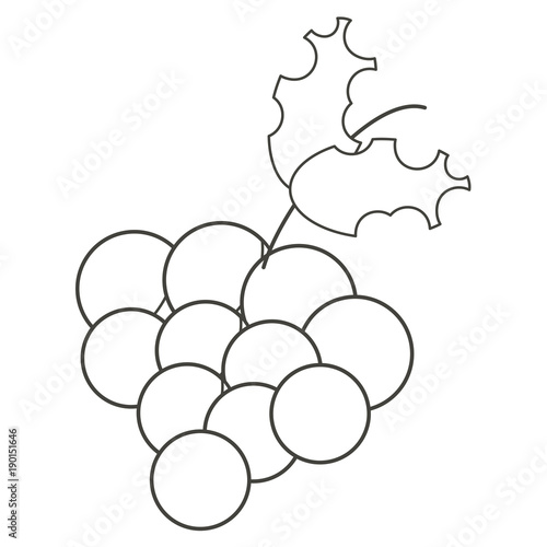 bunch of grapes icon 