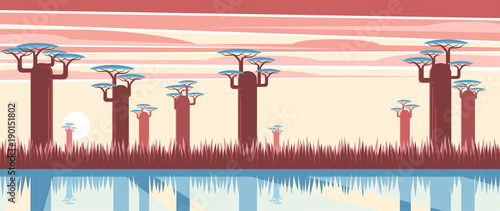 Evening African landscape with baobas near the lake in the background of the sundown and clouds. Nature of Madagascar vector flat illustration. Africa sunset background