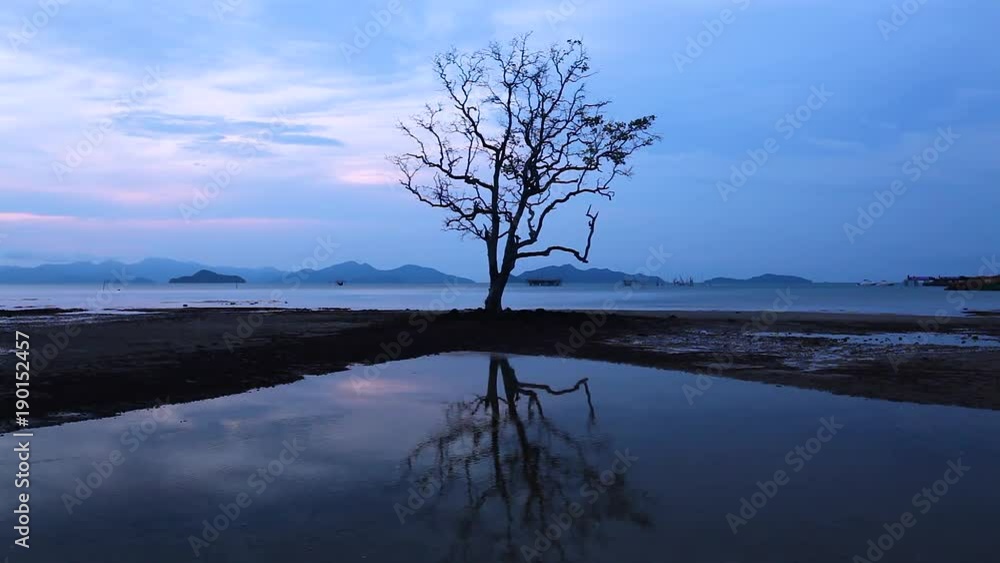 beautiful peaceful seascape with tree in the water sunset sky beautiful peaceful seascape with tree in the water sunset sky