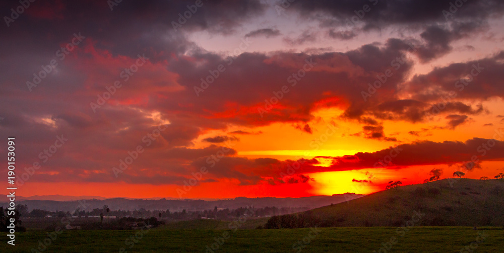 A broad and expansive view of setting sun with red to yellow colored clouds. Oak trees are silhouetted against the red sky. A small community of houses can be seen on the left. A broad and expansive view of setting sun with red to yellow colored clouds. Oak trees are silhouetted against the red sky. A small community of houses can be seen on the left.