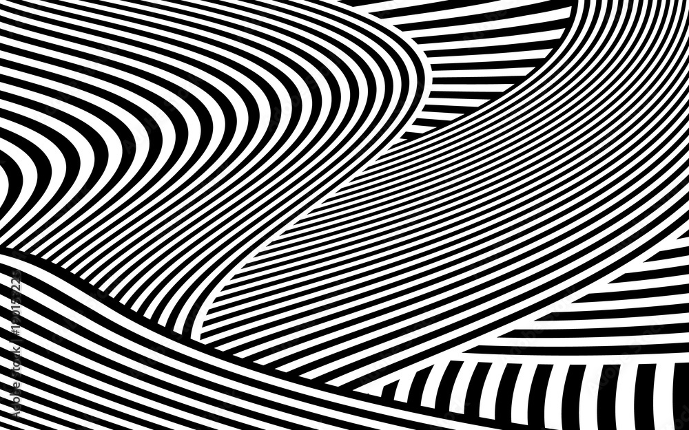 Zebra Design Black and White Stripes Vector Zebra Design Black and White Stripes Vector