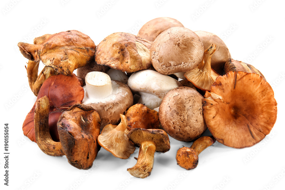 Variety of raw mushrooms on white background Variety of raw mushrooms on white background