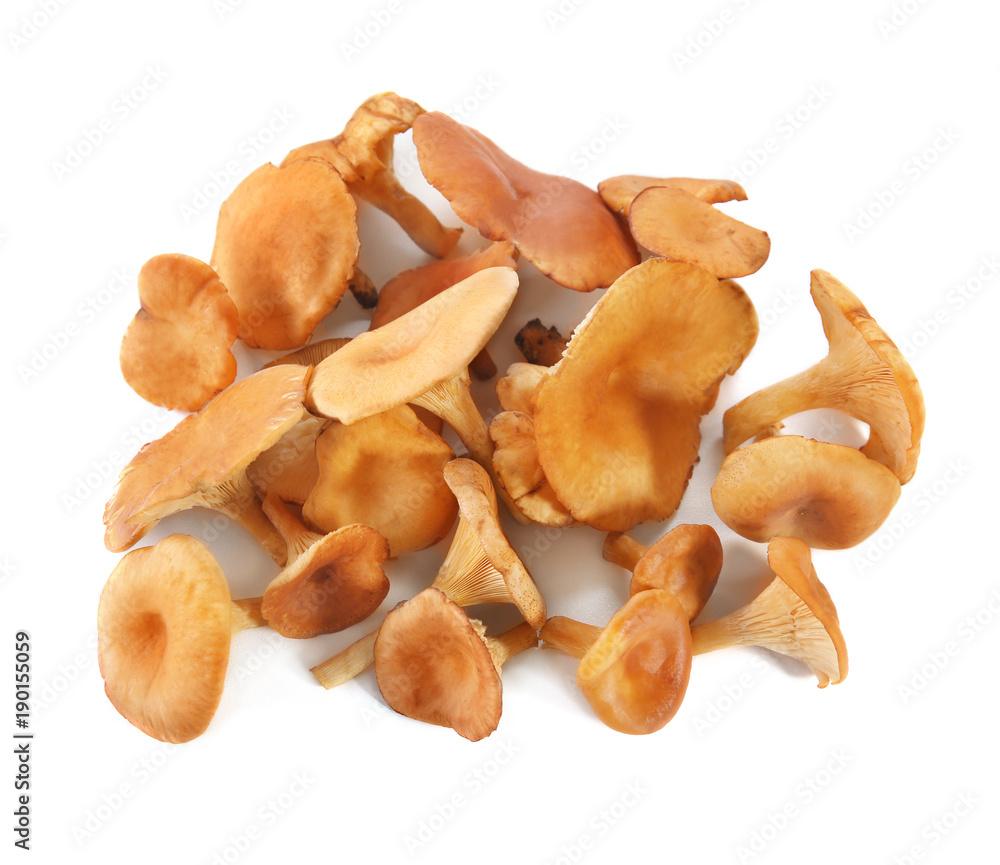 Raw chanterelle mushrooms on white background Raw chanterelle mushrooms on white background