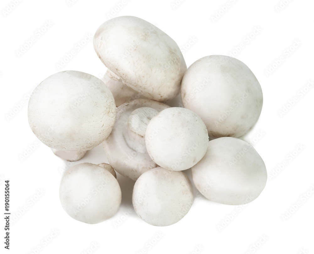 Raw champignon mushrooms on white background