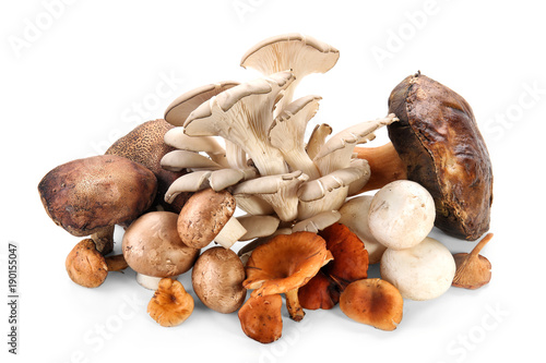 Variety of raw mushrooms on white background