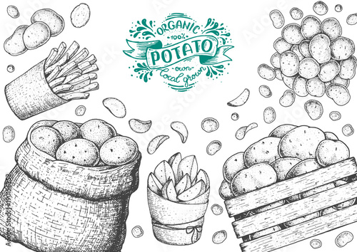 Potato vector illustration. Basket and box of potatoes. French fries, rustic potatoes and chips hand drawn. Engraved style frame.