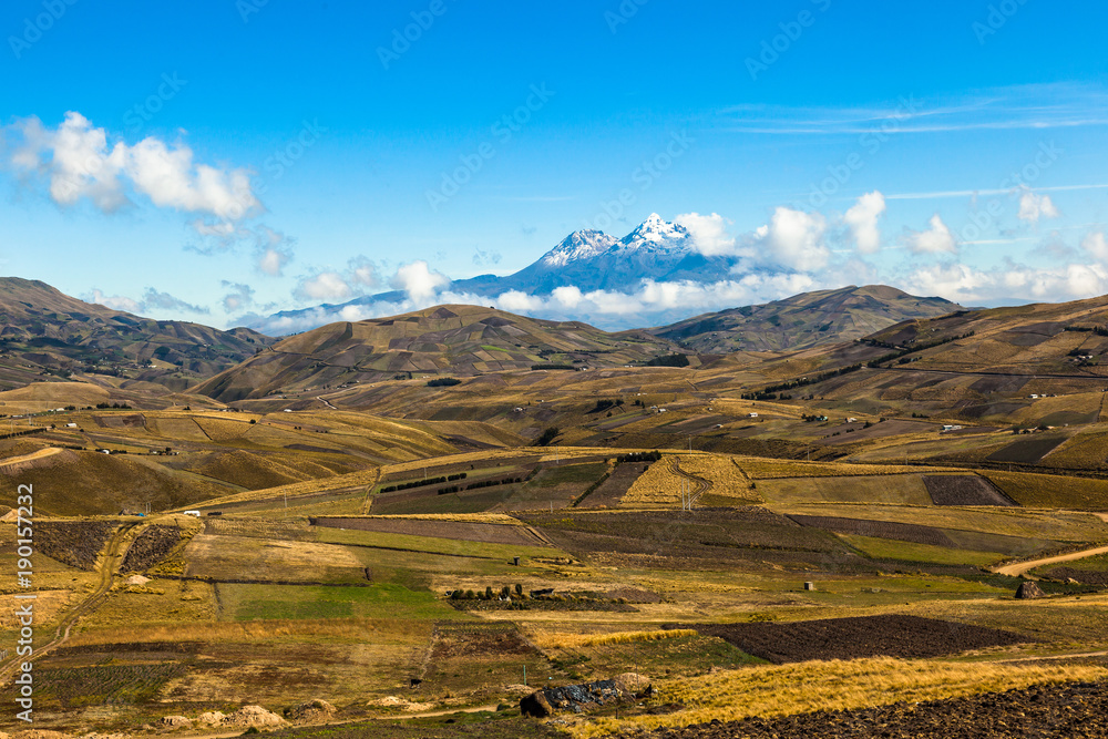 Fields cultivated in summer with Ilinizas volcano