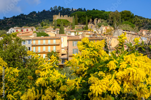 Obraz na płótnie Vue sur le village Bormes les Mimosas et le Château médiéval des Seigneurs de Fos. Provence, France. Arbres de mimosas en fleurs au premier plan. w salonie