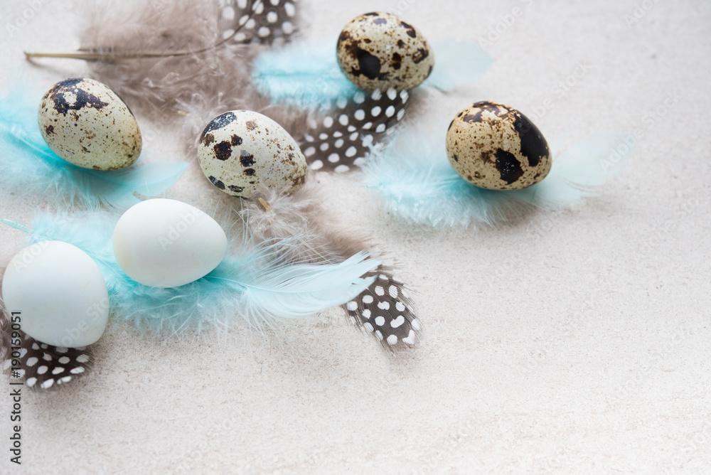 Easter eggs with flowers and feathers Easter eggs with flowers and feathers