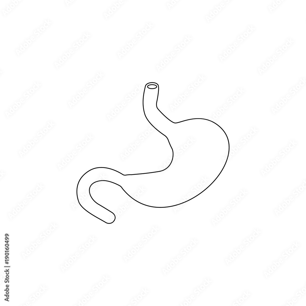 stomach icon. Medecine Element for mobile concept and web apps. Thin line icon for website design and development, app development. Premium icon stomach icon. Medecine Element for mobile concept and web apps. Thin line icon for website design and development, app development. Premium icon
