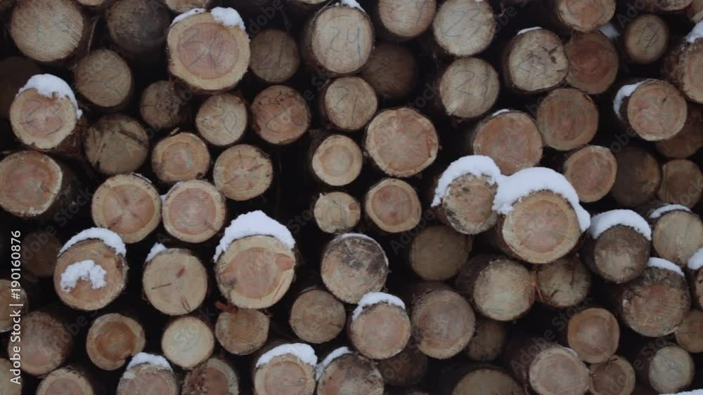 Panoramic view of pile of logs along road at sawmill covered in white snow on winter cloudy day Panoramic view of pile of logs along road at sawmill covered in white snow on winter cloudy day