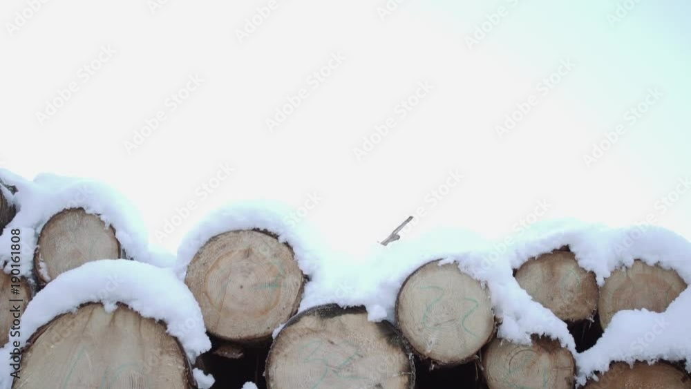 Heap of timber along road at sawmill covered in white snow on winter cloudy day Heap of timber along road at sawmill covered in white snow on winter cloudy day