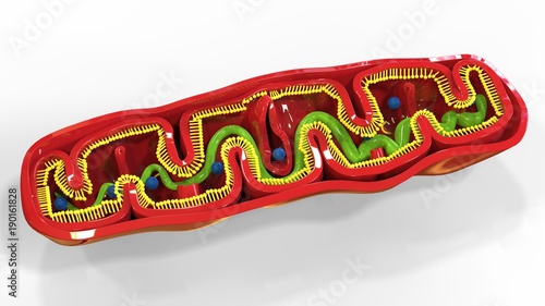 3d render of mitochondria