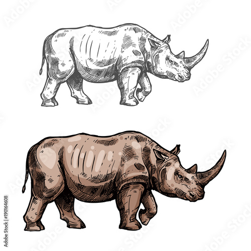 Rhinoceros vector sketch wild animal icon