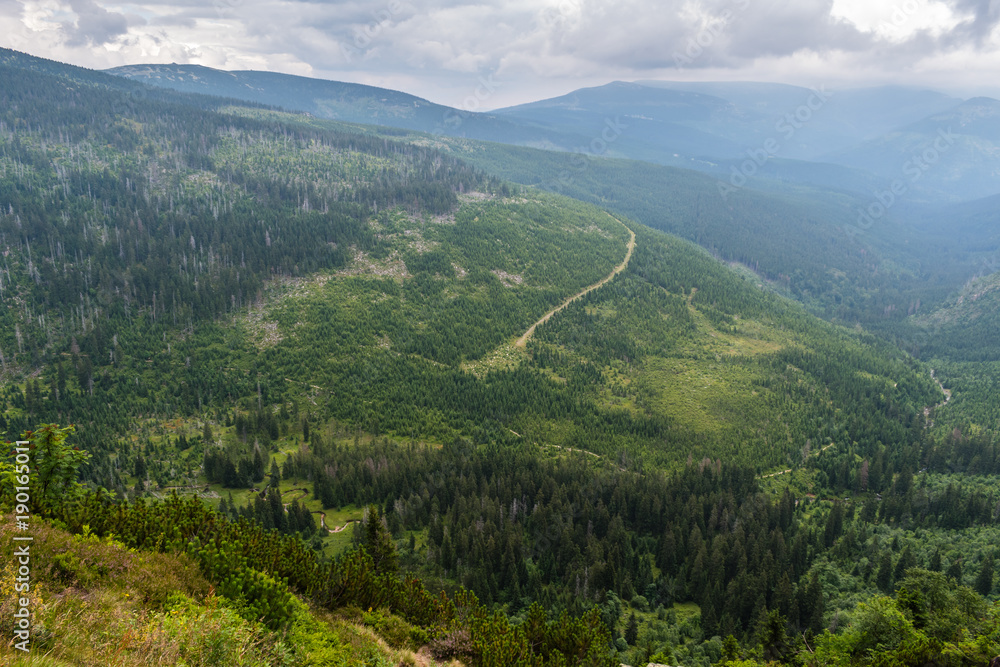 Obraz premium Beautiful view from mountains to the green valley with trees and forest