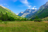 mountain gorge with a meadow in the morning on the green grass and flowers surrounded by mountain peaks in summer