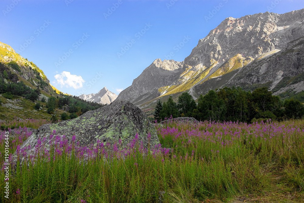 Fototapeta premium mountain gorge with a meadow in the morning on the green grass and flowers surrounded by mountain peaks in summer
