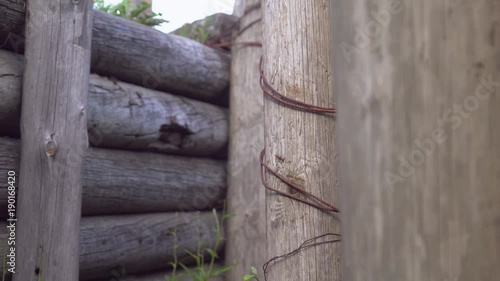 A wooden trench from the military foose in the forest photo