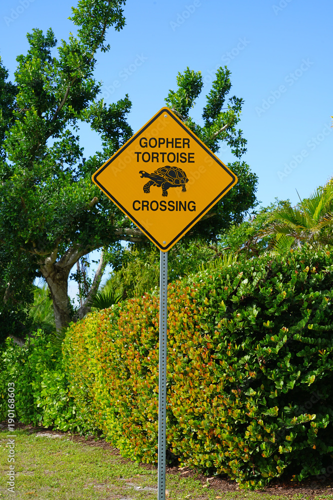 Yellow gopher tortoise crossing sign in Florida