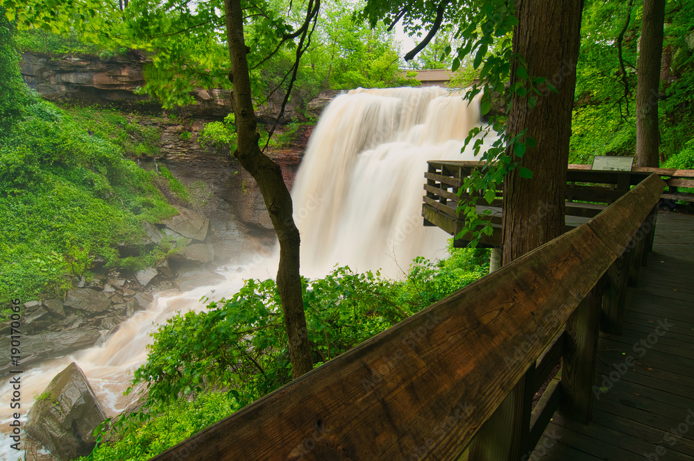 Fototapeta premium Brandywine Falls torrent