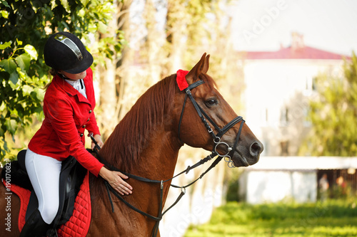 Jockey in saddle on horseback