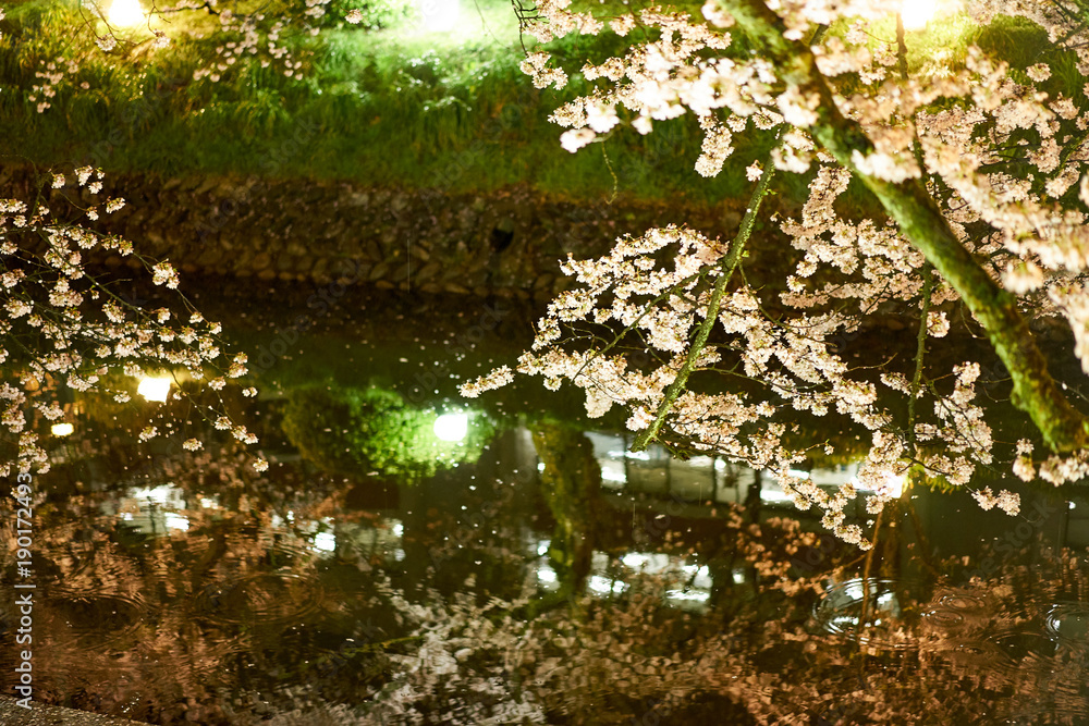 夜桜並木 Images – Browse 14 Stock Photos, Vectors, and Video