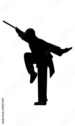 silhouette of martial art with sword
