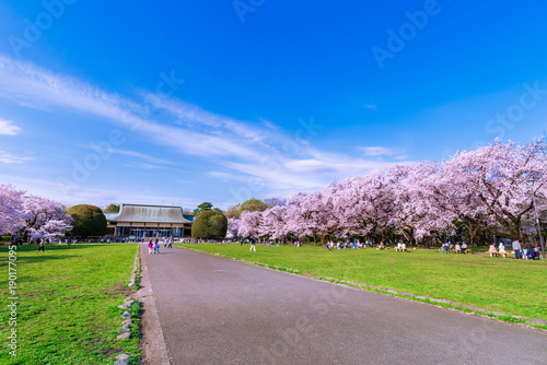 Foto 小金井公園のたてもの園前広場