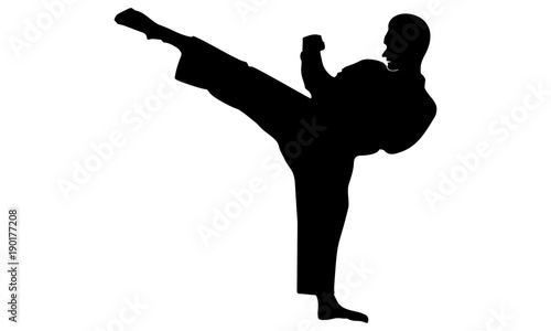 silhouette of the karate martial arts movement