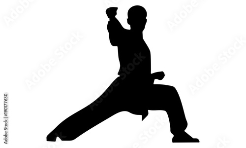 silhouette of karate hit with right hand