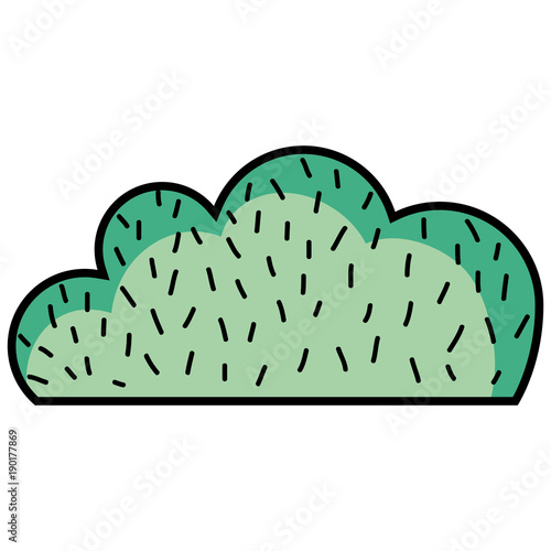 natural bush plant flat design