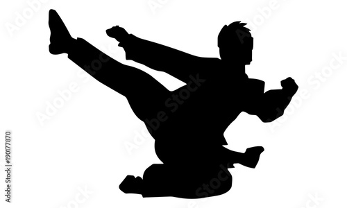 silhouette of karate jump and kick