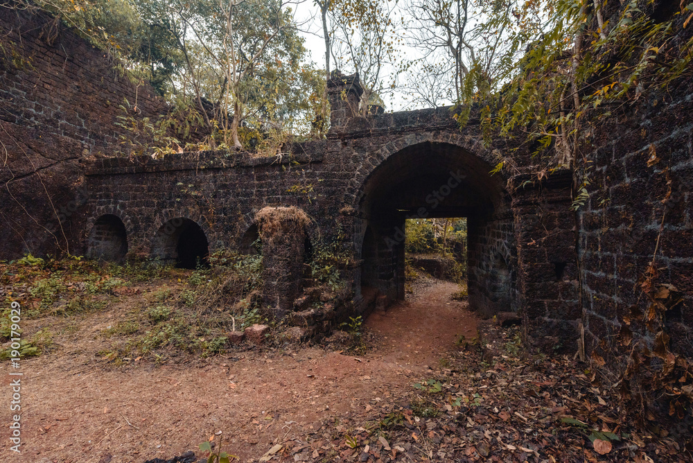 Fort overgrown with branches. Redi fort (Yashwantgad Fort). India, Maharashtra.