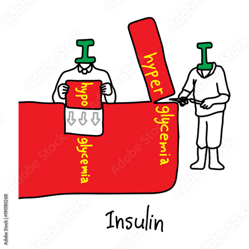 metaphor main function of insulin is to control glucose levels in human blood vector illustration sketch hand drawn with black lines, isolated on white background. Education Medical concept.