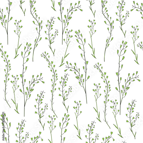 Seamless floral pattern, Capsella flower, Shepherd's purse, Capsella bursa-pastoris, the entire plant, hand drawn vector ink sketch isolated on white, for design cosmetic, textile, natural fabric