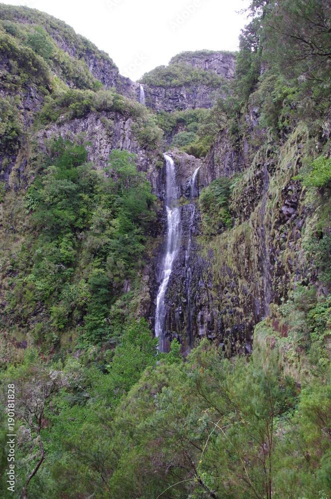 A small waterfall in Madeira