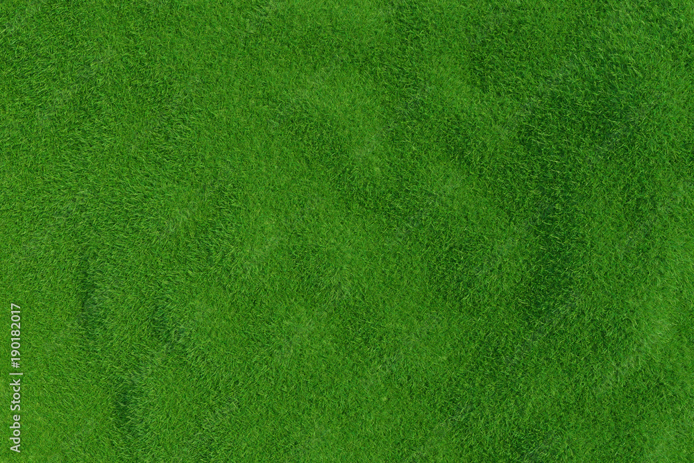 Green grass background. Natural background. Top view. 3d rendering Green grass background. Natural background. Top view. 3d rendering