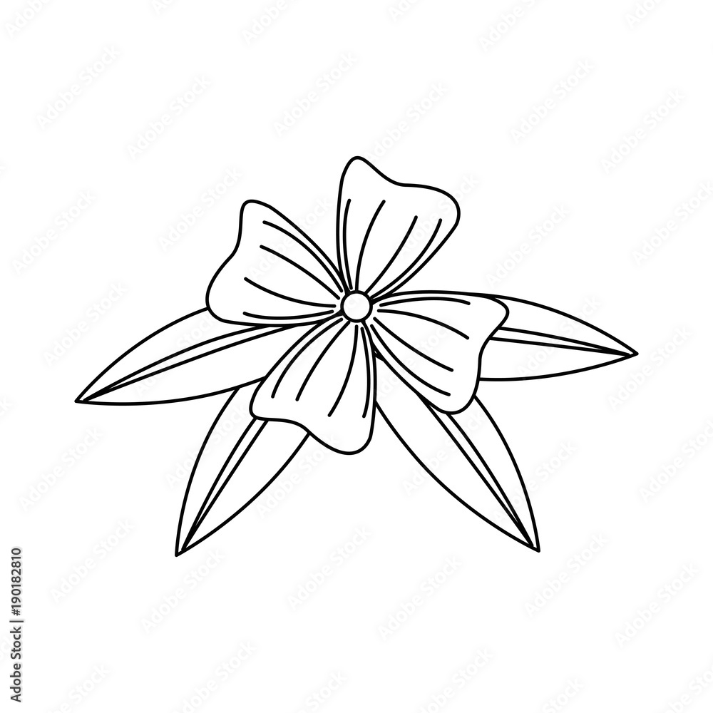 Naklejka premium flower and leafs floral decoration vector illustration design